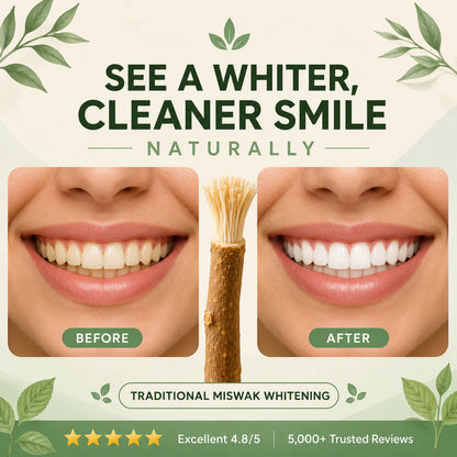 StickBrush Mint - Natural Luxora Toothbrush Stick