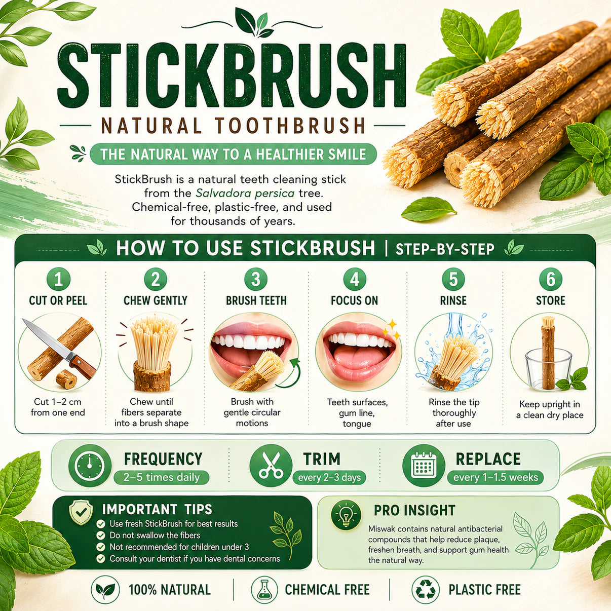 StickBrush Mint - Natural Luxora Toothbrush Stick