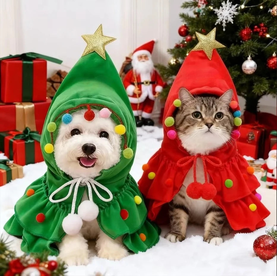 Dog in a green Christmas tree cape and cat in a red cape beside Christmas gifts